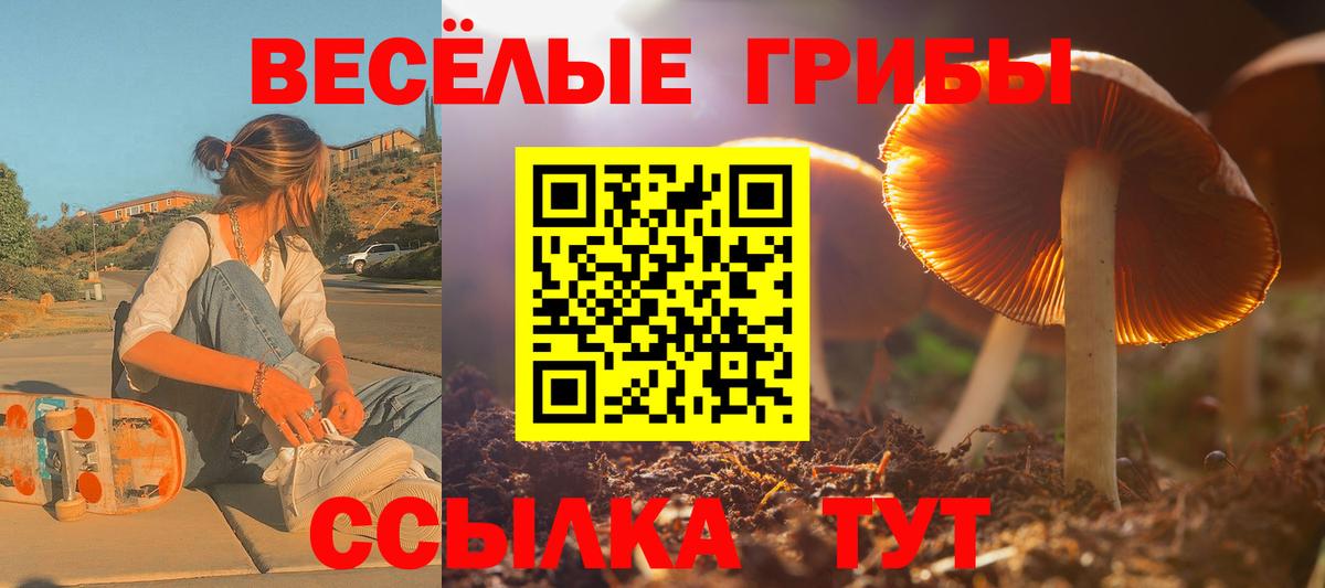 Находка  Псилоцибиновые грибы Magic Shrooms  Вход с VPN 