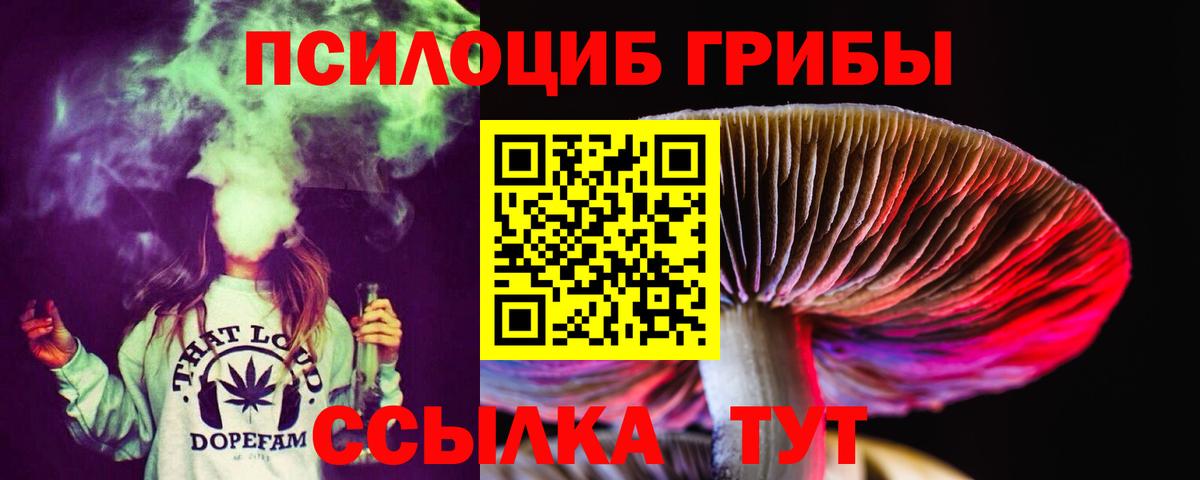Псилоцибиновые грибы MAGIC MUSHROOMS Находка